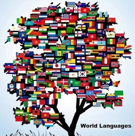International language training